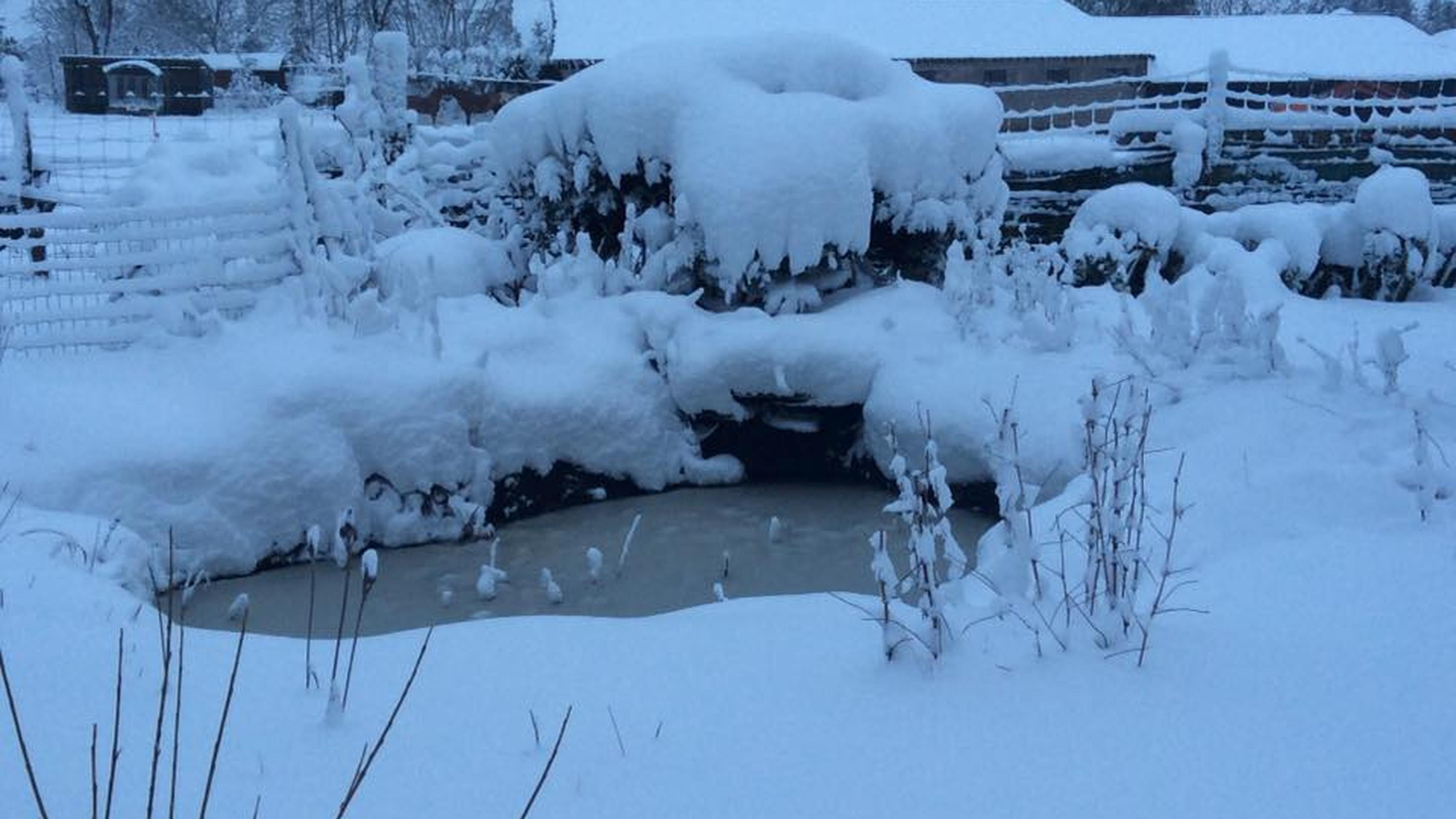 Un manteau best sale de neige